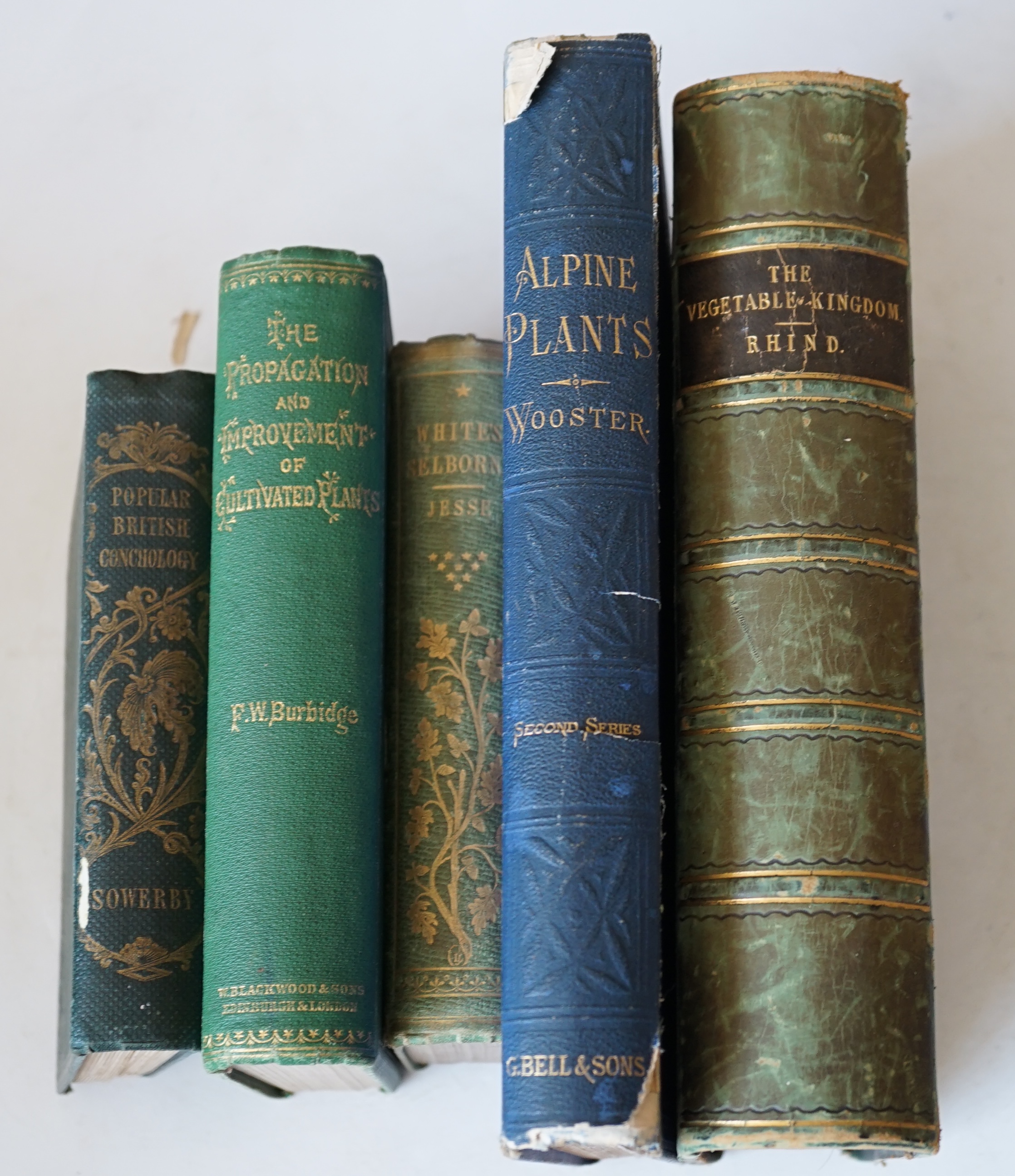 Sowerby, George Brettingham - Popular British Conchology. A familiar history of the molluscs inhabiting the Brisish Isles. 20 hand coloured lithographed plates; original gilt pictorial and blind decorated cloth (by Westl